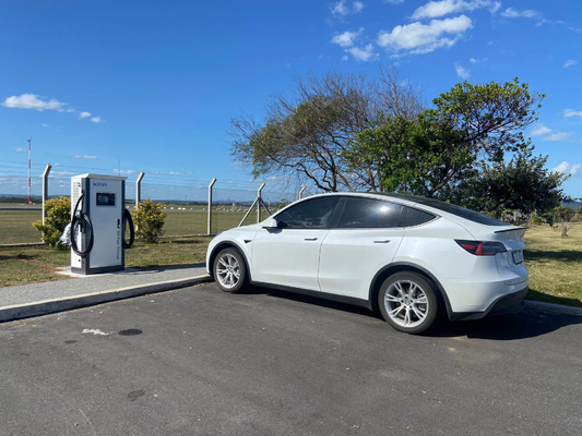 Elektrikli Arabalar için 150V 1000V Hızlı Şarj İstasyonları Ev